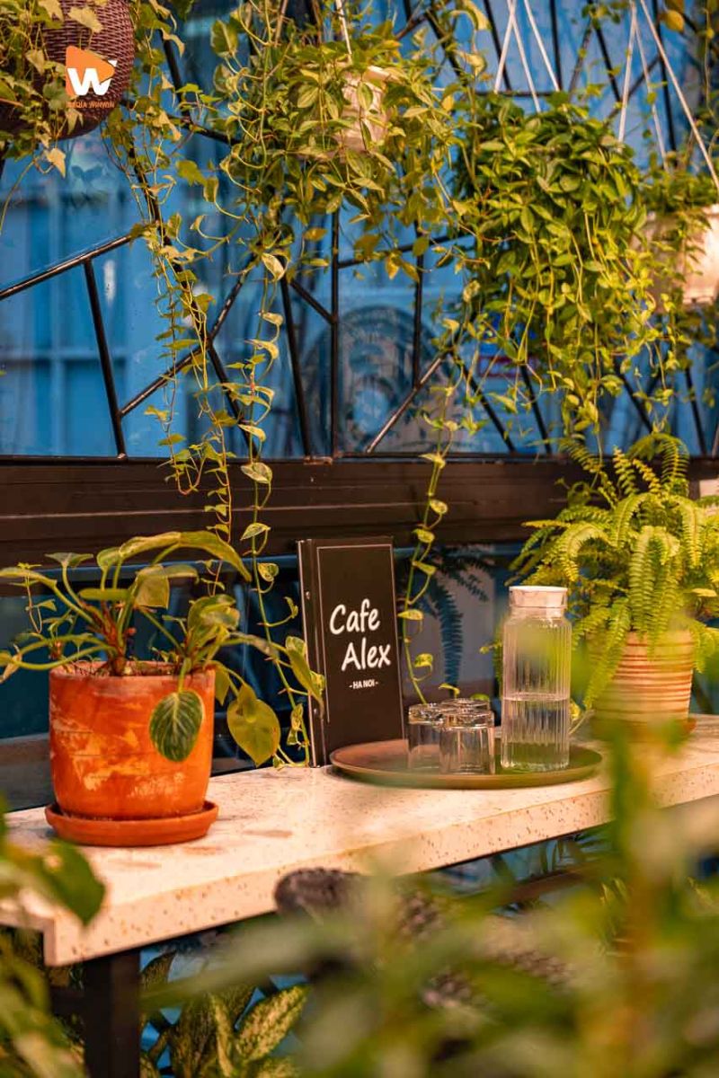 Chụp ảnh góc bàn cà phê sân vườn Cafe Alex - Media WinWin